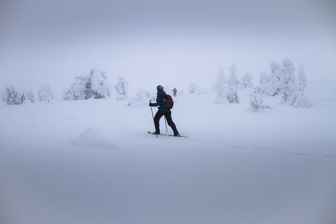 SNOWSHOEING the White Walk - About Your Stay