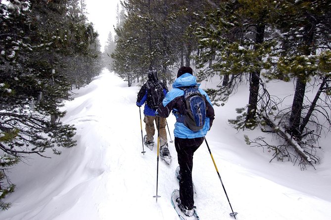 Snowshoeing Tour in Jacques-Cartier National Park - Explore the Winter Wonderland