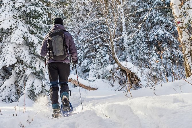 Snowshoeing Tour in Jacques-Cartier National Park - Meet at the Quaint Meeting Point