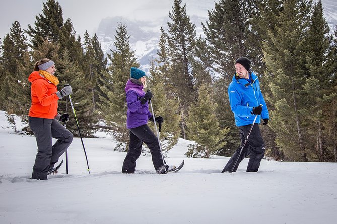 Snowshoeing Tour to the Paint Pots - Participant Age and Accompaniment