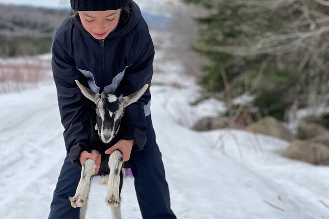 Snowshoeing With Mountain Goats Private Activity - Private Tour/Activity