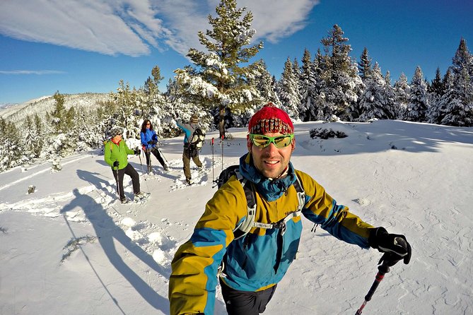 Snowshoes in the Pyrenees From Barcelona - Private Tour - Key Points