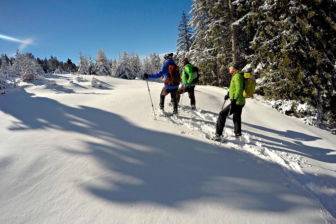 Snowshoes in the Pyrenees From Barcelona - Private Tour - Whats Included