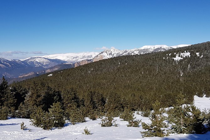 Snowshoes in the Pyrenees From Barcelona - Private Tour - Guided Snowshoeing Experience