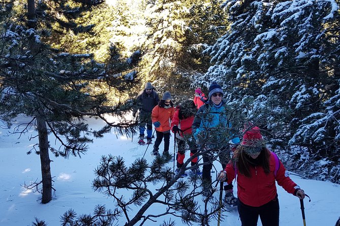 Snowshoes in the Pyrenees From Barcelona - Private Tour - Exploring the Pyrenees