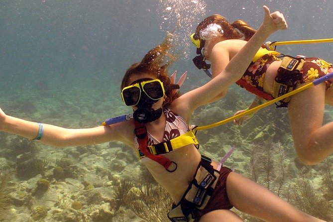 Snuba Adventure at Coral World Ocean Park - Tour Details