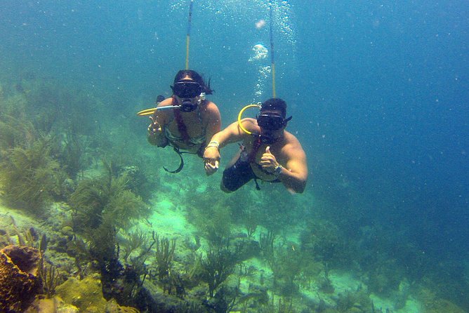 Snuba Adventure at Coral World Ocean Park - Pricing and Booking Information