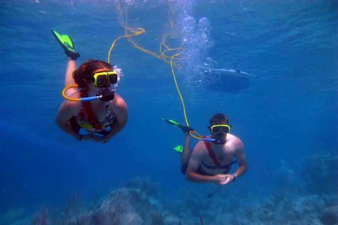 Snuba Adventure at Coral World Ocean Park - Logistical Information