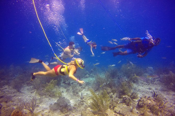 Snuba Adventure at Coral World Ocean Park - Age and Health Restrictions