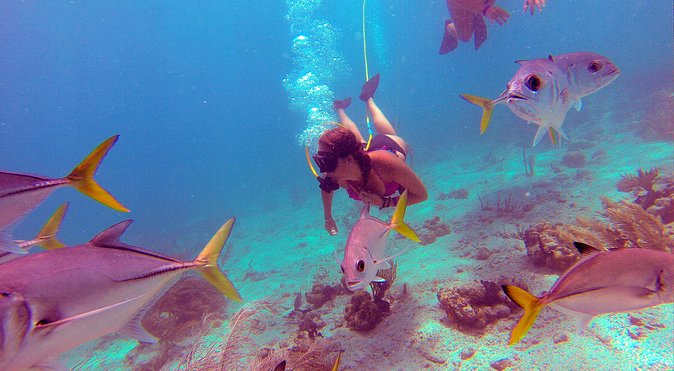 Snuba Adventure at Coral World Ocean Park - Physical Fitness Requirement