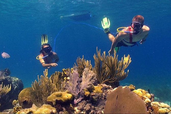 Snuba Adventure at Coral World Ocean Park - Location and Accessibility