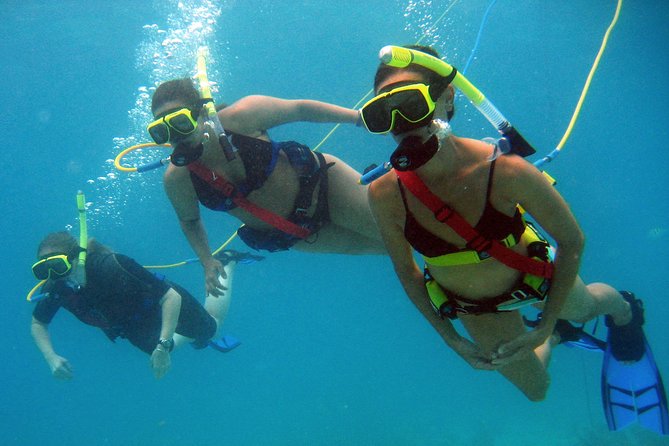 Snuba Adventure at Coral World Ocean Park - Snuba Tour Details