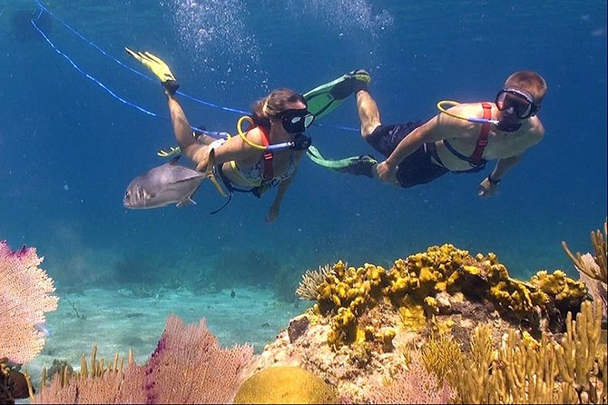 Snuba Adventure at Coral World Ocean Park - Participant Feedback and Highlights
