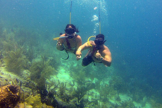 Snuba Adventure at Coral World Ocean Park - Preparing for the Adventure