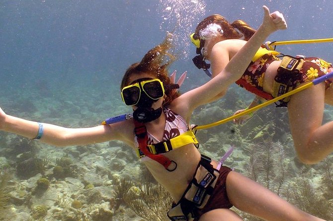 Snuba Adventure at Coral World Ocean Park - Complementary Park Experiences