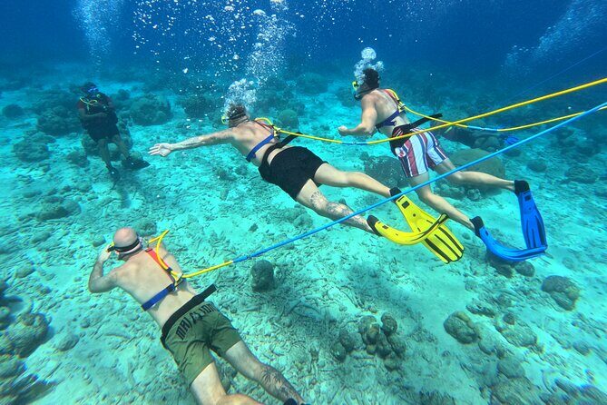 SNUBA Adventure in Curacao - Guided Shallow Dive - Why Choose This Tour?