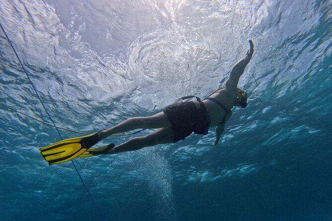 SNUBA Adventure in Curacao - Guided Shallow Dive - The Bottom Line