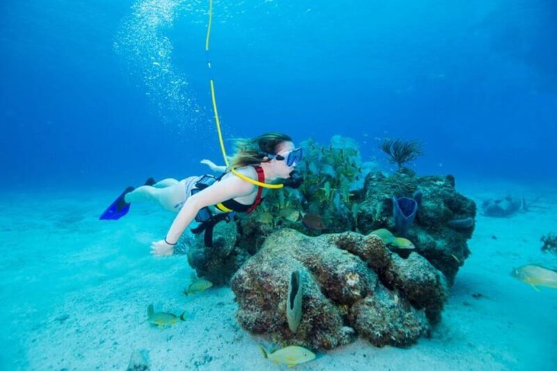 SNUBA Diving at CHILENO BAY - Key Points