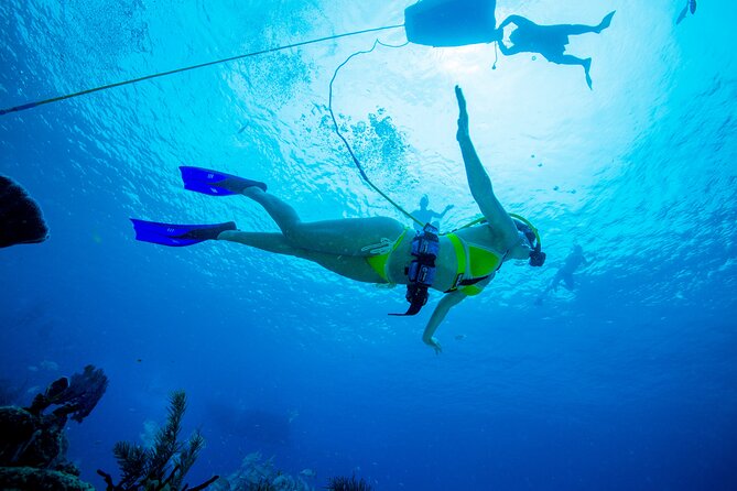 SNUBA Diving at Pelican Rock in Cabo San Lucas - Key Points