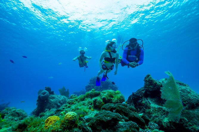 SNUBA Diving at Pelican Rock in Cabo San Lucas - Inclusions and Experiences