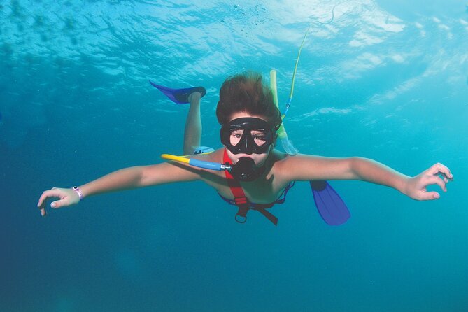 SNUBA Diving at Pelican Rock in Cabo San Lucas - Operator Updates and Improvements