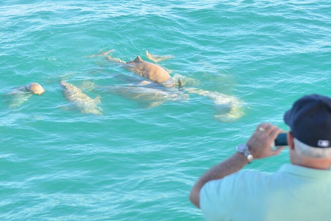 Snubfin Dolphin Eco Cruise From Broome - Knowledgeable Guide and Insights