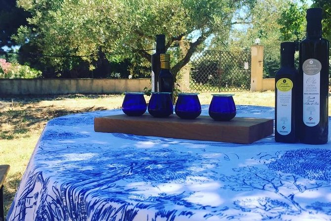 Soap and Olive Oil Experience - Key Points