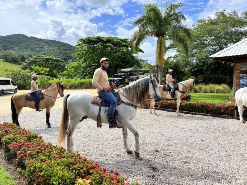 Soar on the Fastest and Longest Zip Line in Punta Cana - Thrilling Activities Included