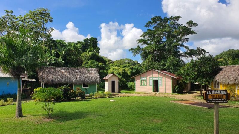 Soar on the Fastest and Longest Zip Line in Punta Cana - Multilingual Professional Guides