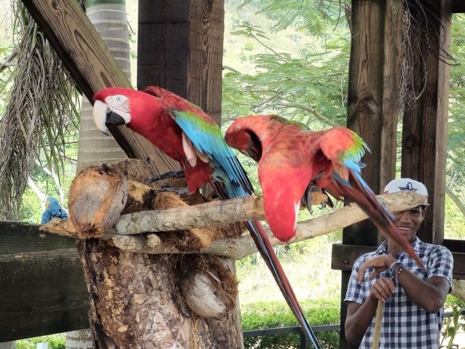 Soar on the Fastest and Longest Zip Line in Punta Cana - Stunning Park Views