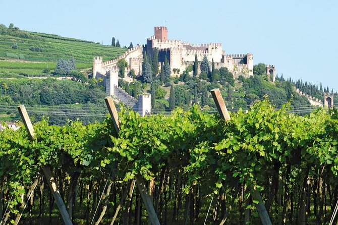 Soave Borgo Wine Day Trip With Light Lunch & 2 Wineries - Local Veneto Wines Sampled