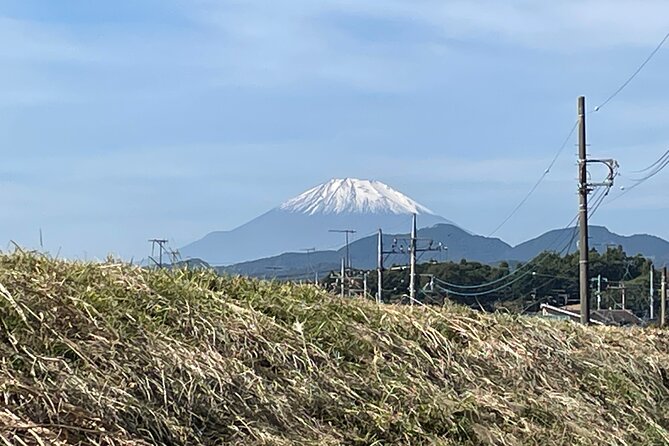 Soba Making Activity in Paddy Field Scenery of Kanagawa - Soba Noodle Making at the Restaurant