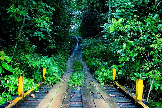 Soberania National Park Day Trip From Panama City - Recap