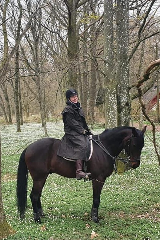 Söderåsen National Park: 1.5-Hour Horseback Ride - Good To Know