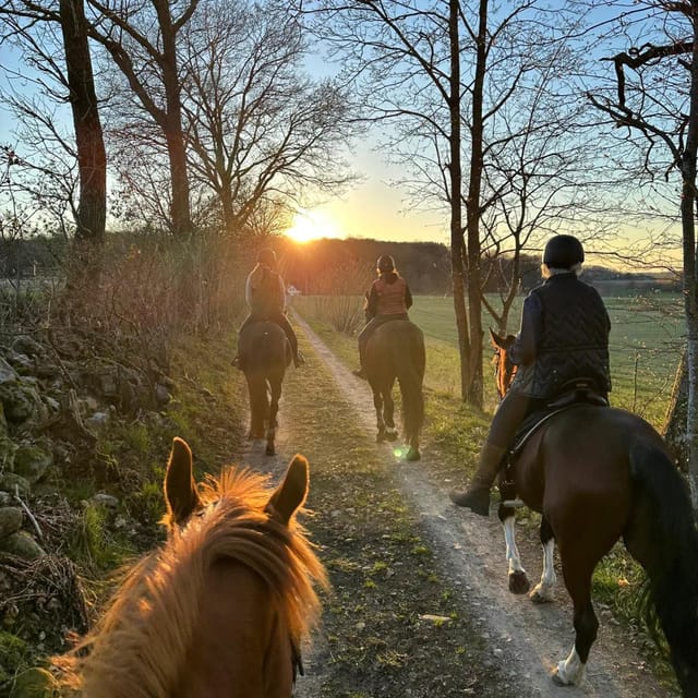 Söderåsen National Park: 1.5-Hour Horseback Ride - Pricing and Booking