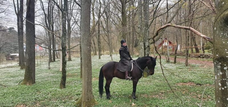 Söderåsen National Park: 1.5-Hour Horseback Ride - Group Size and Language