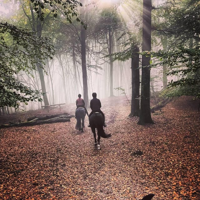 Söderåsen National Park: 2.5-Hour Horseback Ride - Good To Know