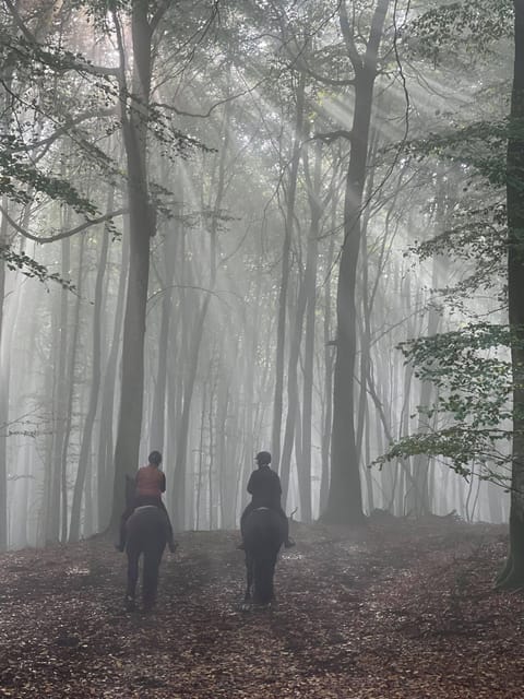 Söderåsen National Park: 2.5-Hour Horseback Ride - Experience and Itinerary