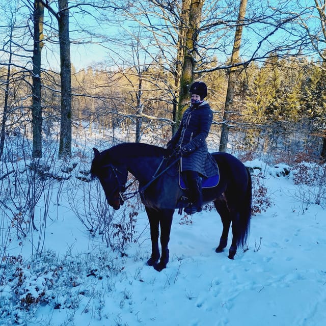 Söderåsen National Park: Horseback Riding Vacation 2 Nights - Good To Know