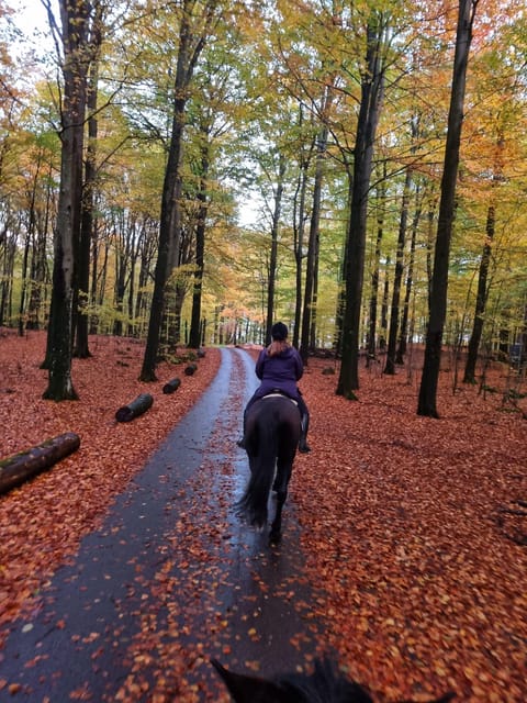 Söderåsen National Park: Horseback Riding Vacation 2 Nights - Pricing and Reservation