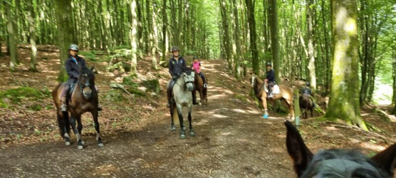 Söderåsen National Park: Horseback Riding Vacation 2 Nights - Itinerary
