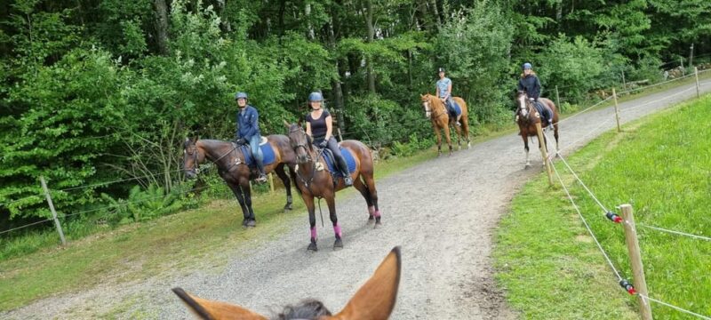 Söderåsen National Park: Horseback Riding Vacation 2 Nights - Participant Requirements