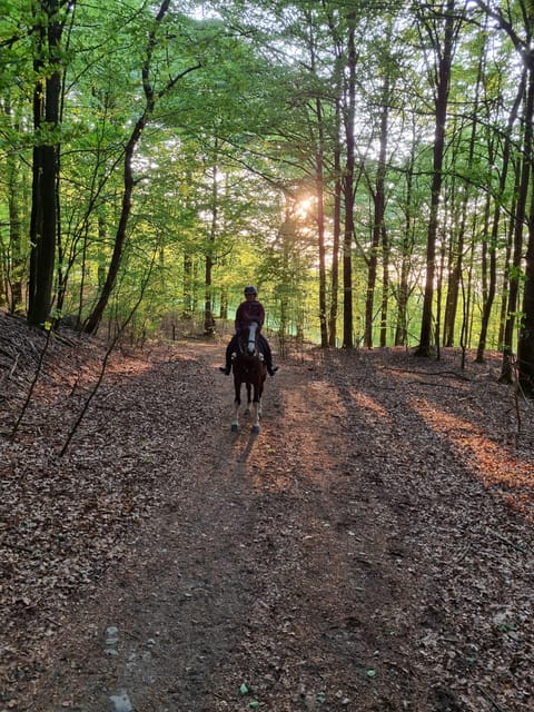 Söderåsen National Park: Horseback Riding Vacation 2 Nights - What to Expect on the Rides