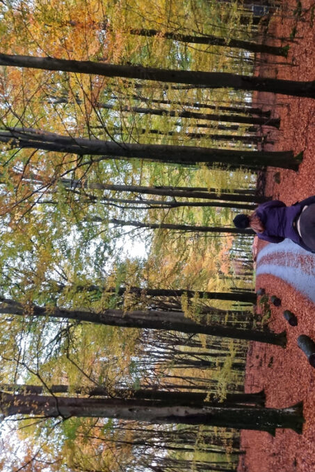 Söderåsen National Park: Horseback Riding Vacation 2 Nights - Tips for a Memorable Experience