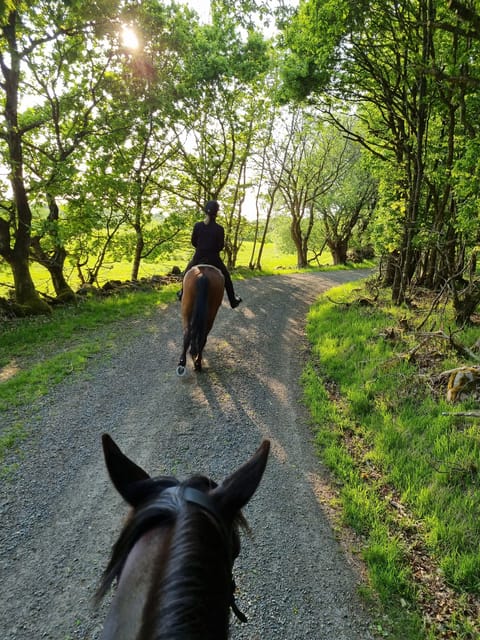 Söderåsen National Park: Horseback Riding Vacation 2 Nights - Frequently Asked Questions