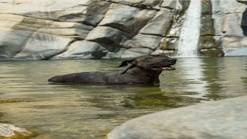 Sol De Mayo Oasis: Explore Natural Springs and Charming Town - Key Points
