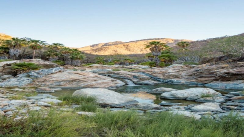 Sol De Mayo Oasis: Explore Natural Springs and Charming Town - Cultural Immersion in El Triunfo