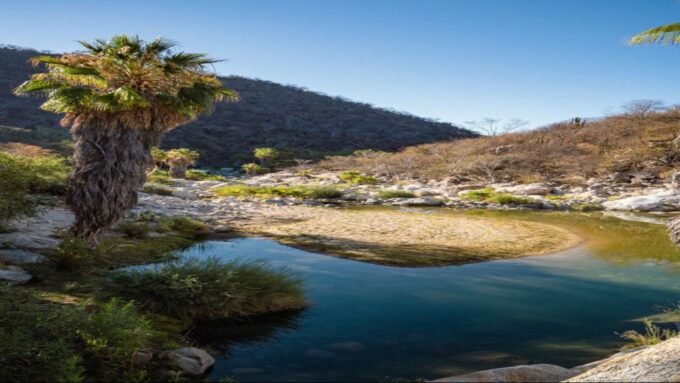 Sol De Mayo Oasis: Explore Natural Springs and Charming Town - Natural Springs of Sol De Mayo