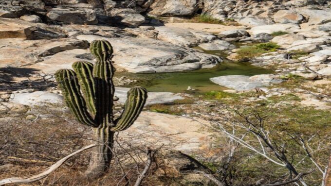 Sol De Mayo Oasis: Explore Natural Springs and Charming Town - Frequently Asked Questions