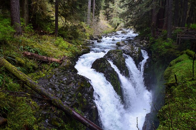 Sol Duc, Lake Crescent, and Hurricane Ridge Guided Tour in Olympic National Park - Marveling at Sol Duc Falls